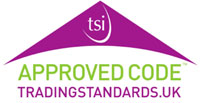 TSI Logo